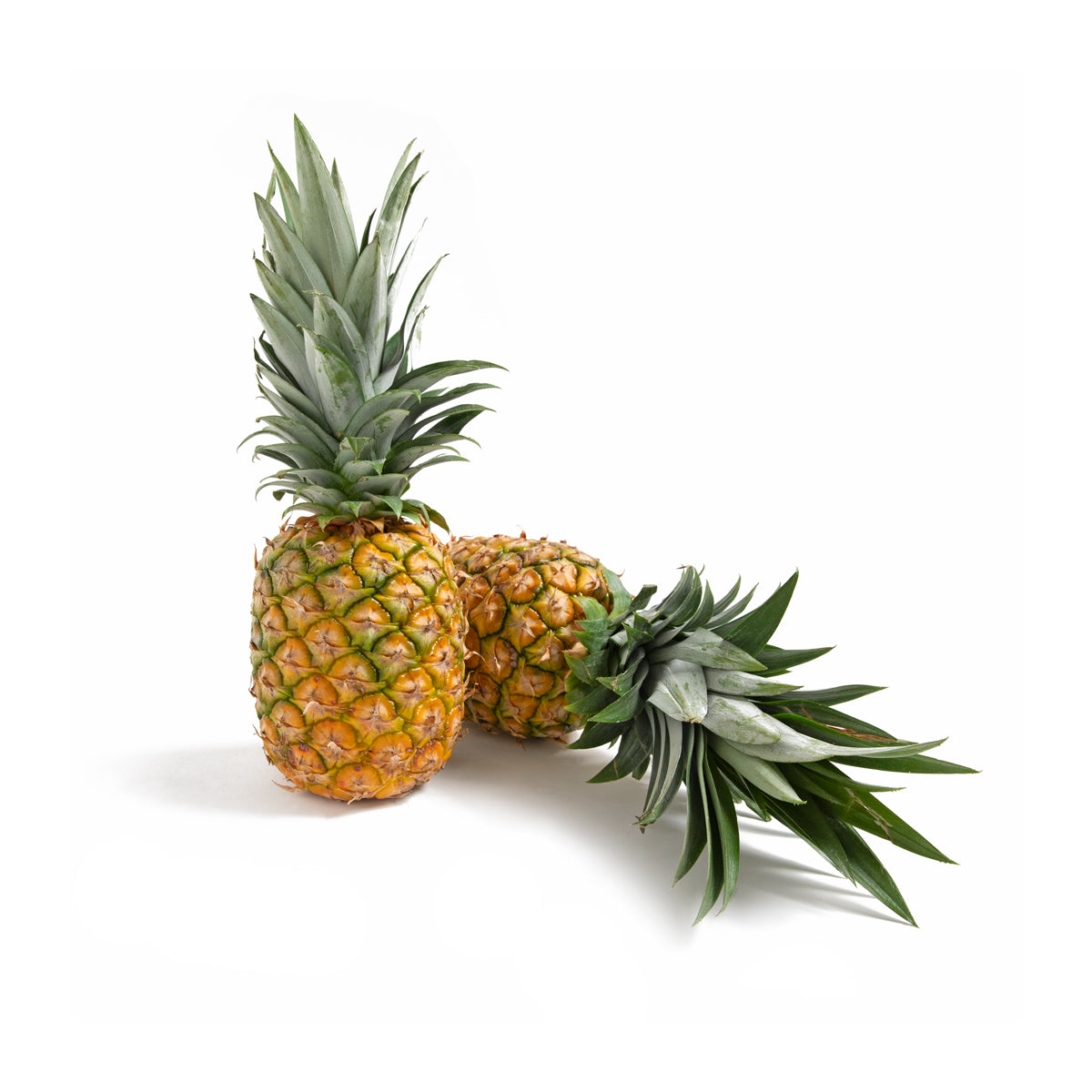 Mini Honeyglow Pineapples