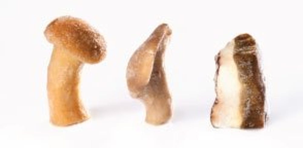 Mushroom Mix MG Porcini 10%