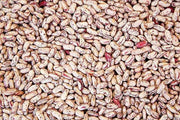 Pinto Beans