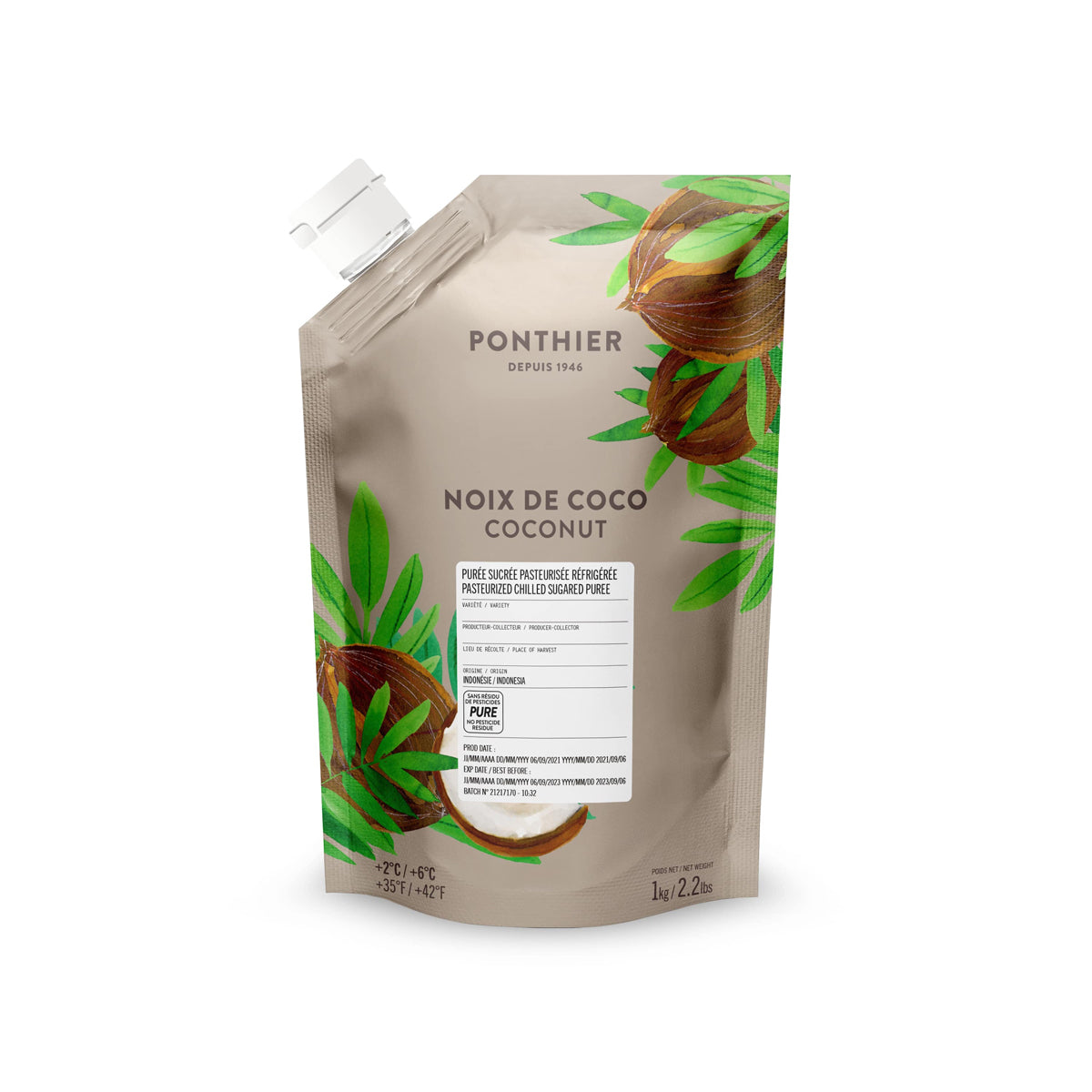 Chilled Coconut Puree