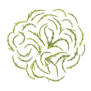 Sea Beans