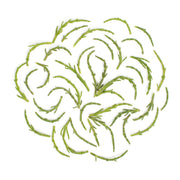 Wild Sea Beans