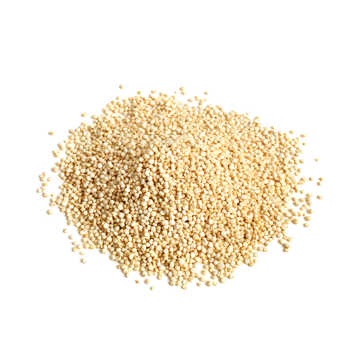 Quinoa