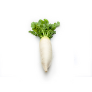 Large Daikon Radishes