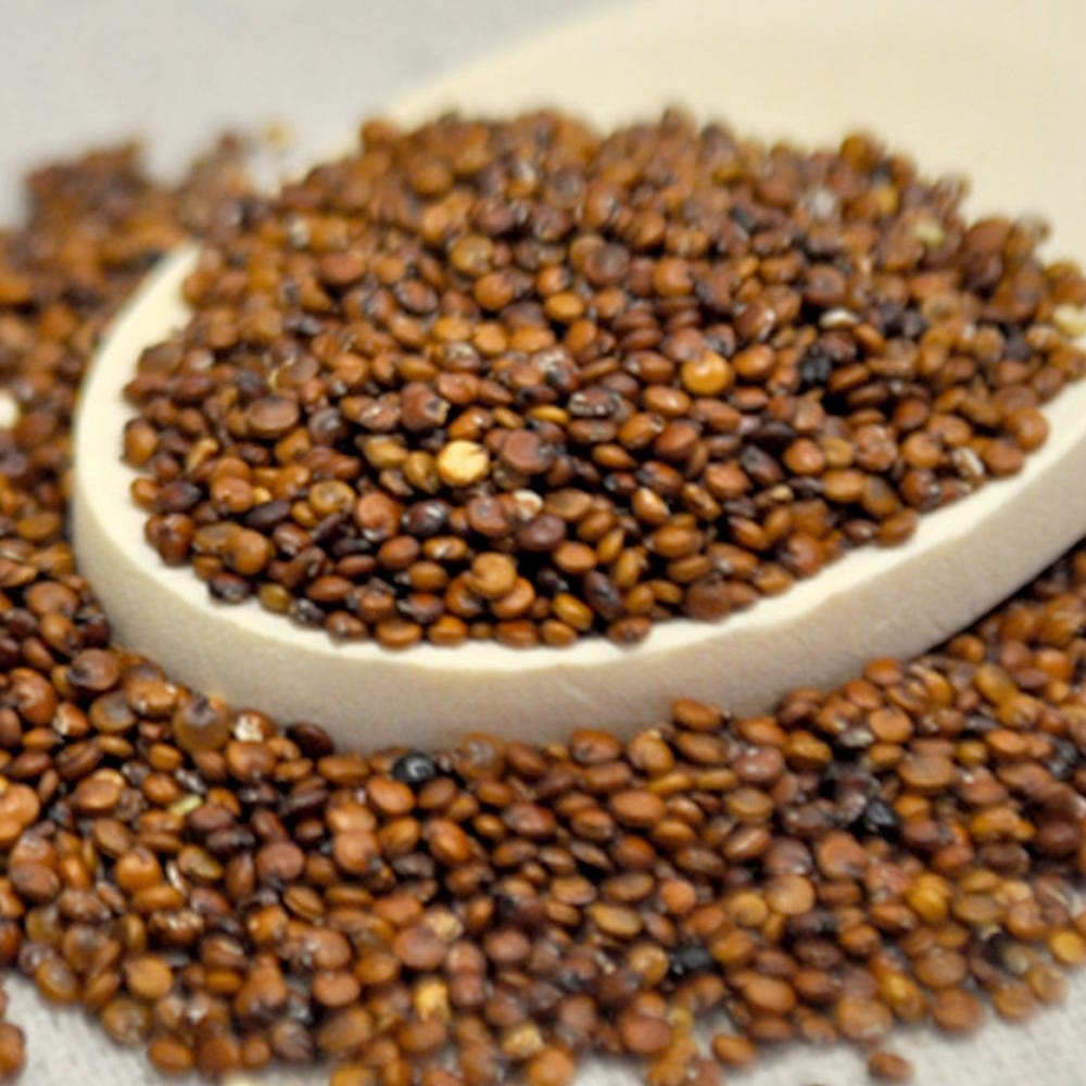 Red Quinoa