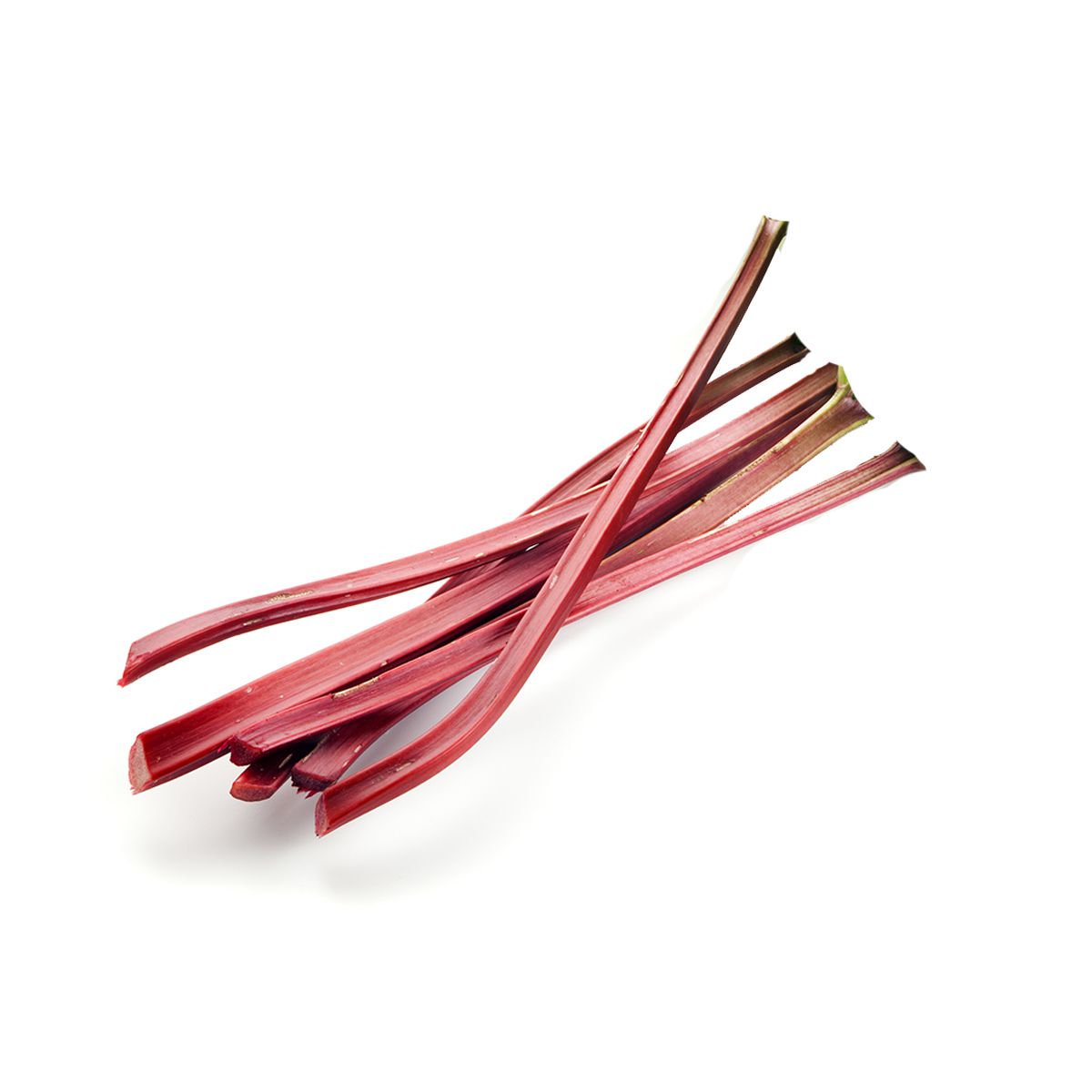Holland Rhubarb