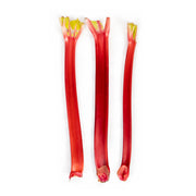 Rhubarb