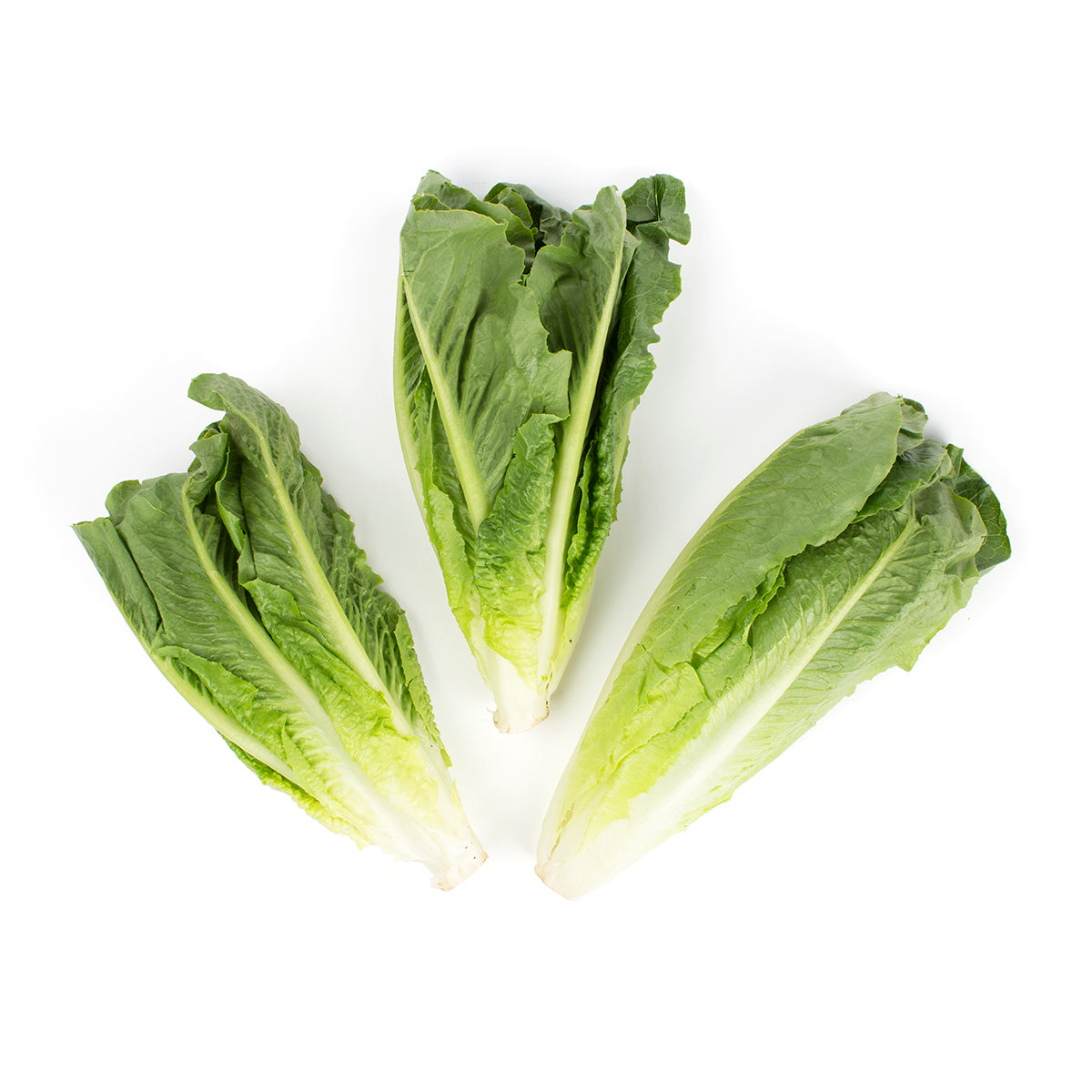 Romaine Hearts
