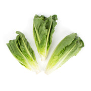 Romaine Hearts
