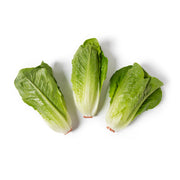 Andy Boy Junior Romaine Hearts