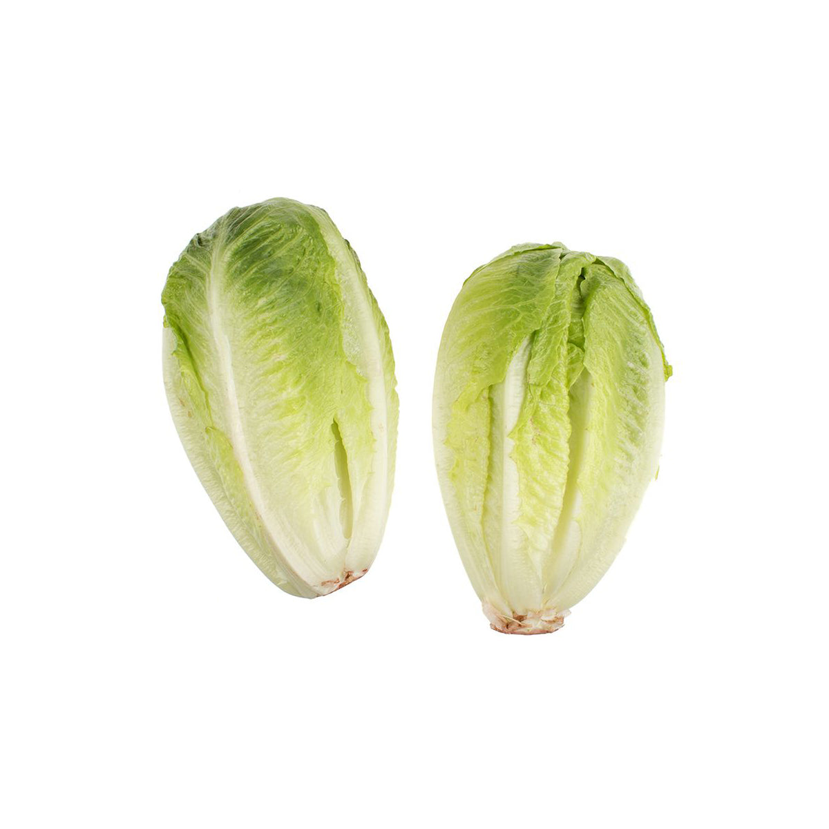 Baby Romaine Hearts