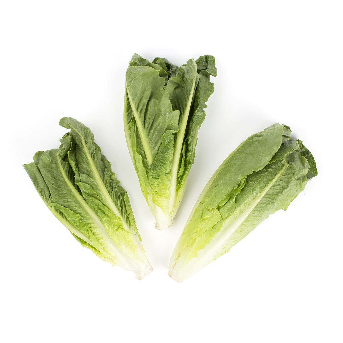 Romaine Hearts