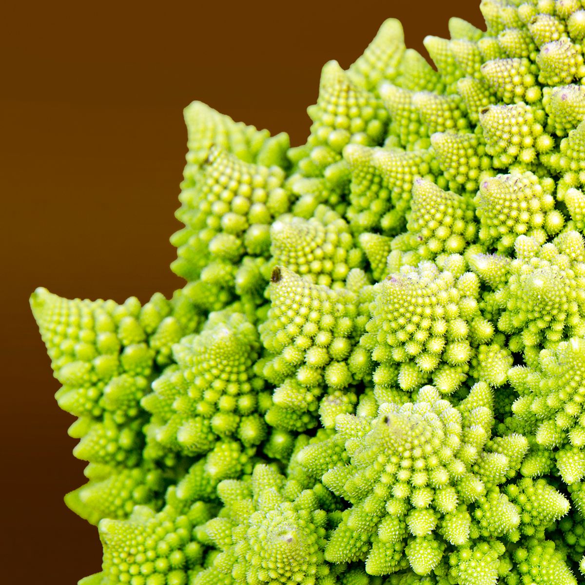Romanesco Cauliflower