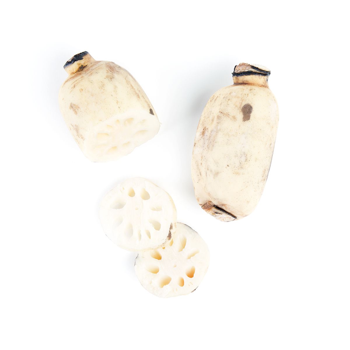 Lotus Root