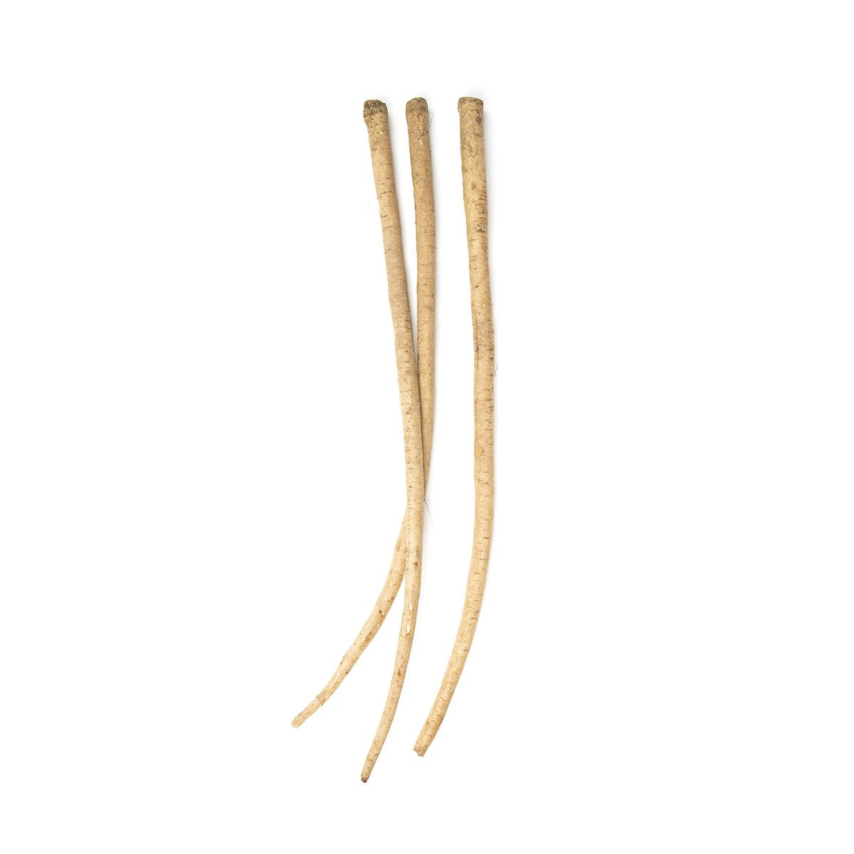 Burdock Root