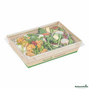 Sustain 34 oz Bamboo Paper Medium Click Lock Container
