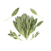 Sage