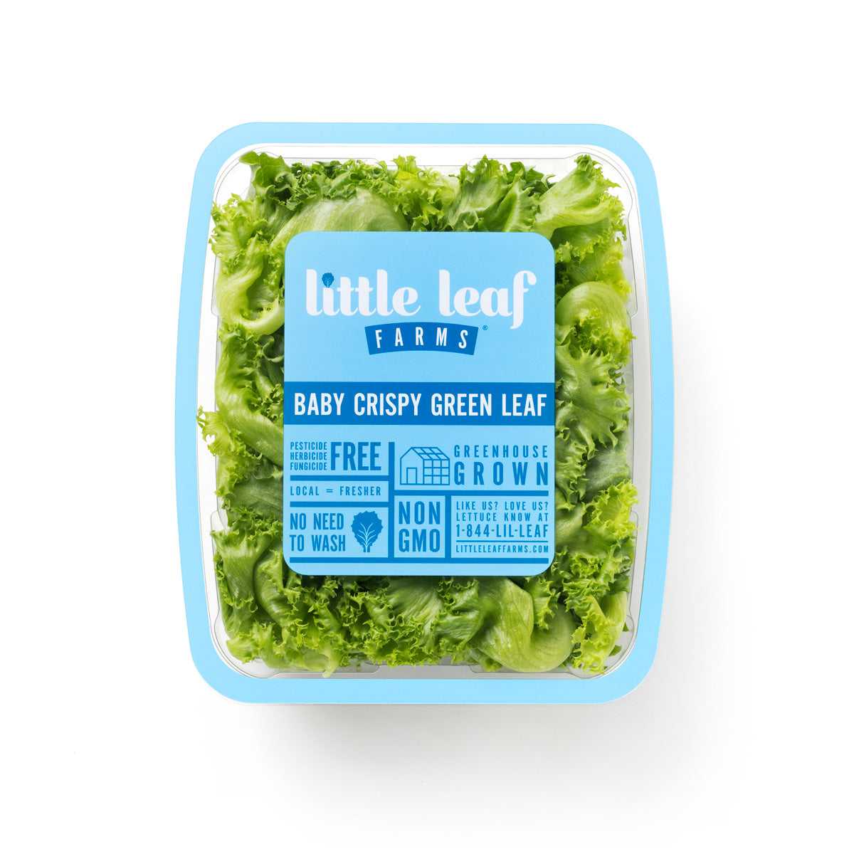 Baby Crispy Green Leaf