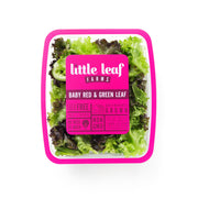 Baby Red & Green Leaf