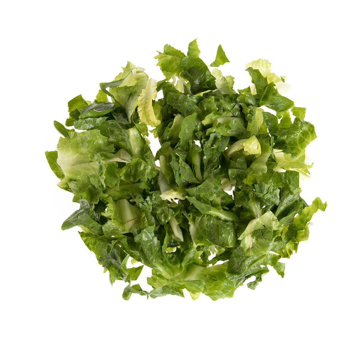 Chopped Escarole