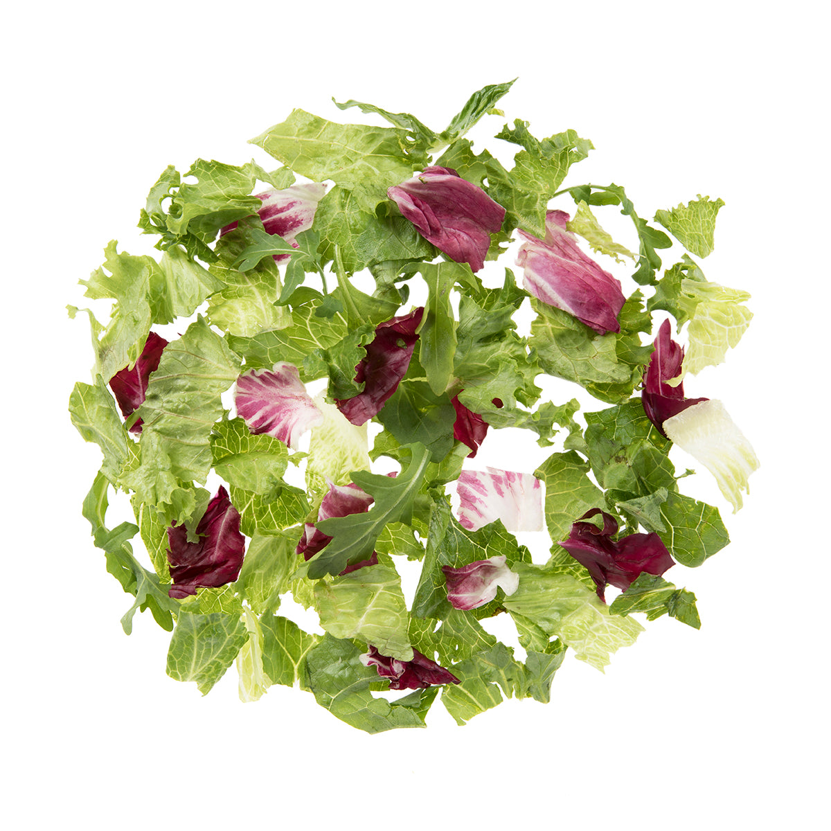 Premium Special Blend Salad Mix