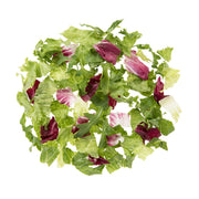 Premium Special Blend Salad Mix