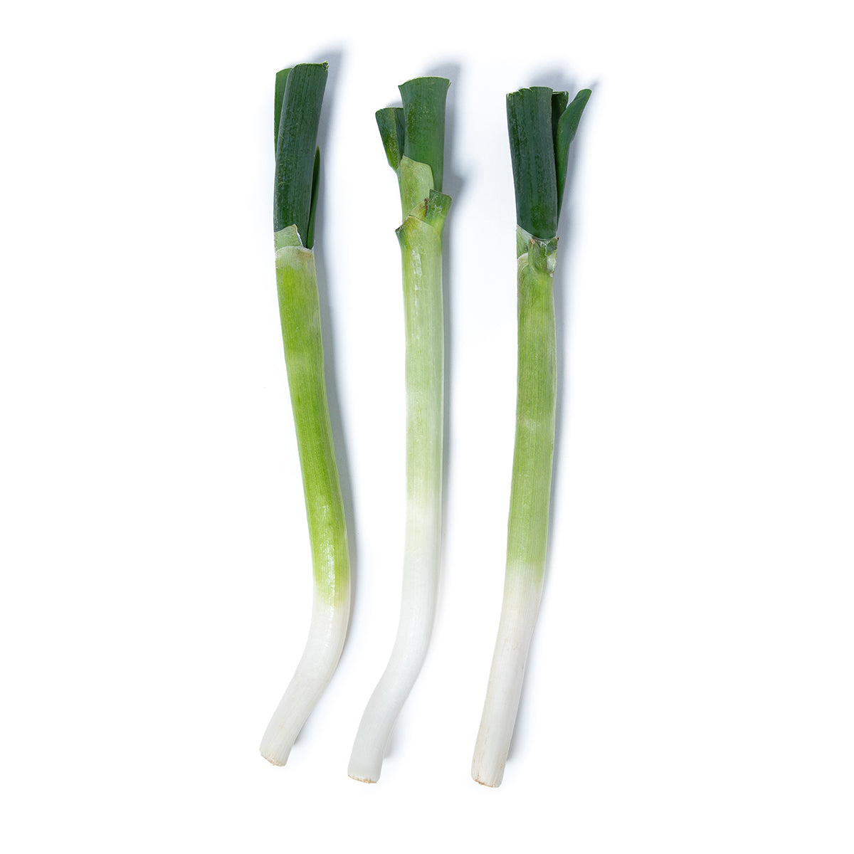 Tokyo Negi Scallions