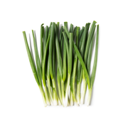 Iceless Scallions