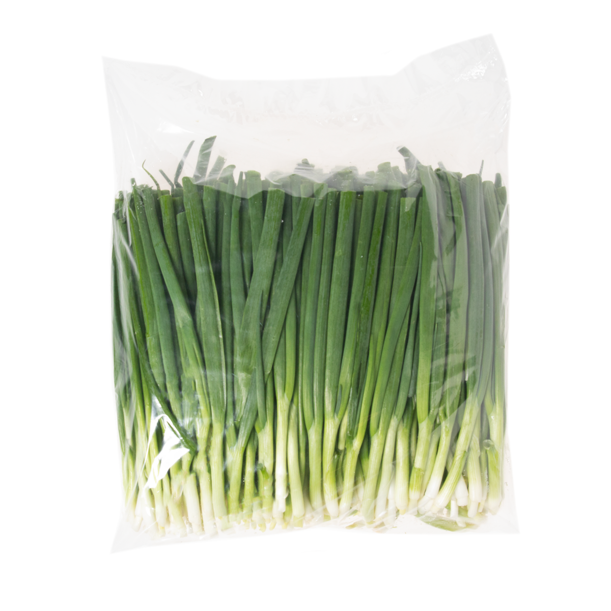Iceless Scallions