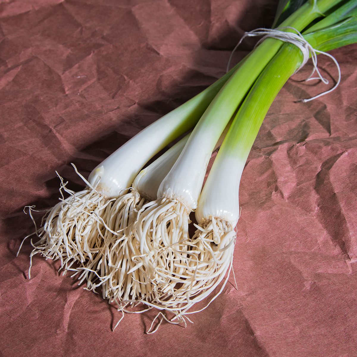 Scallions