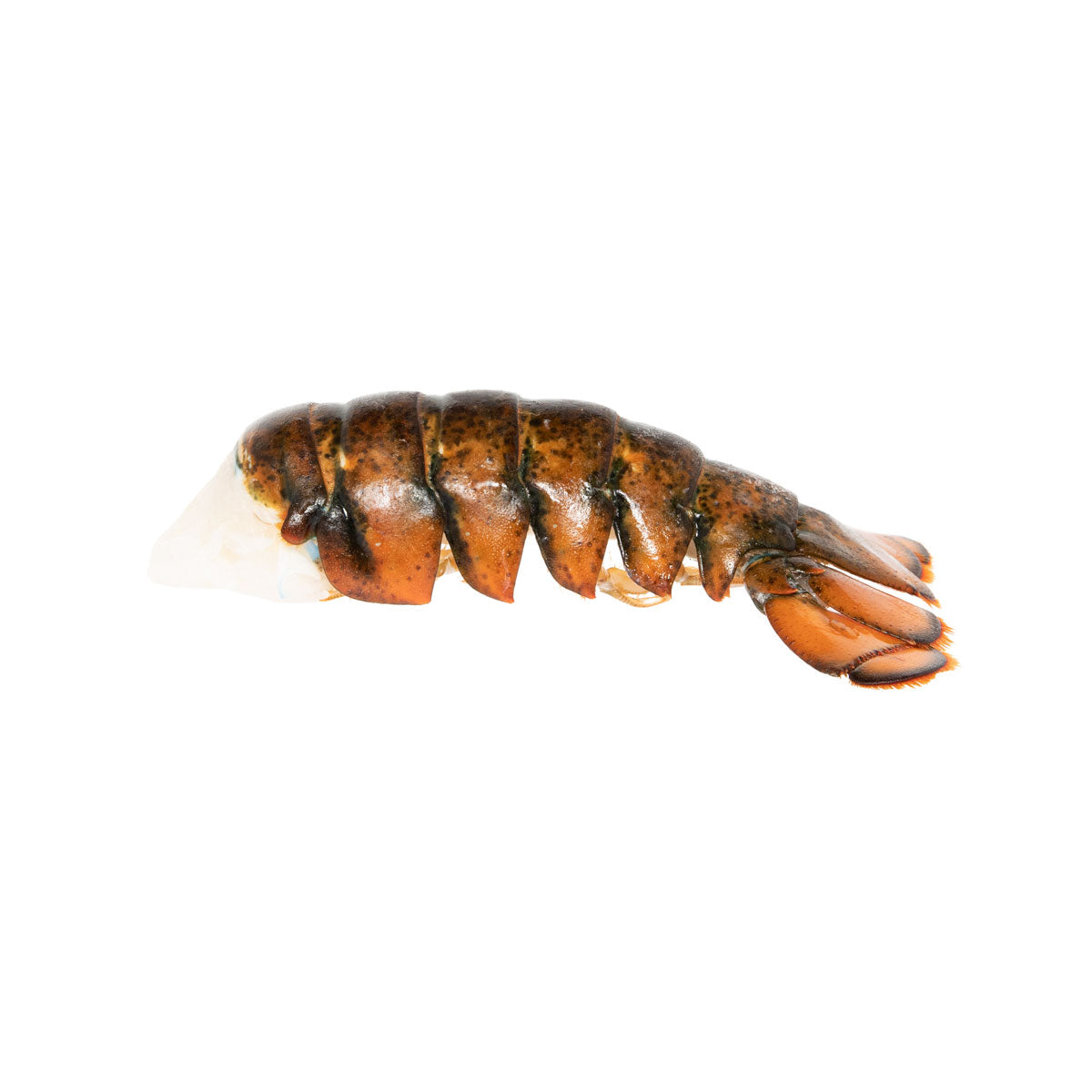 Frozen Lobster Tails 5-6 OZ