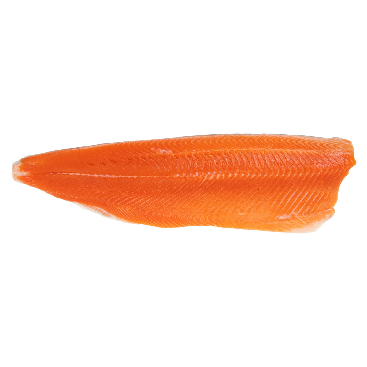Farm Raised PBO Arctic Char Side