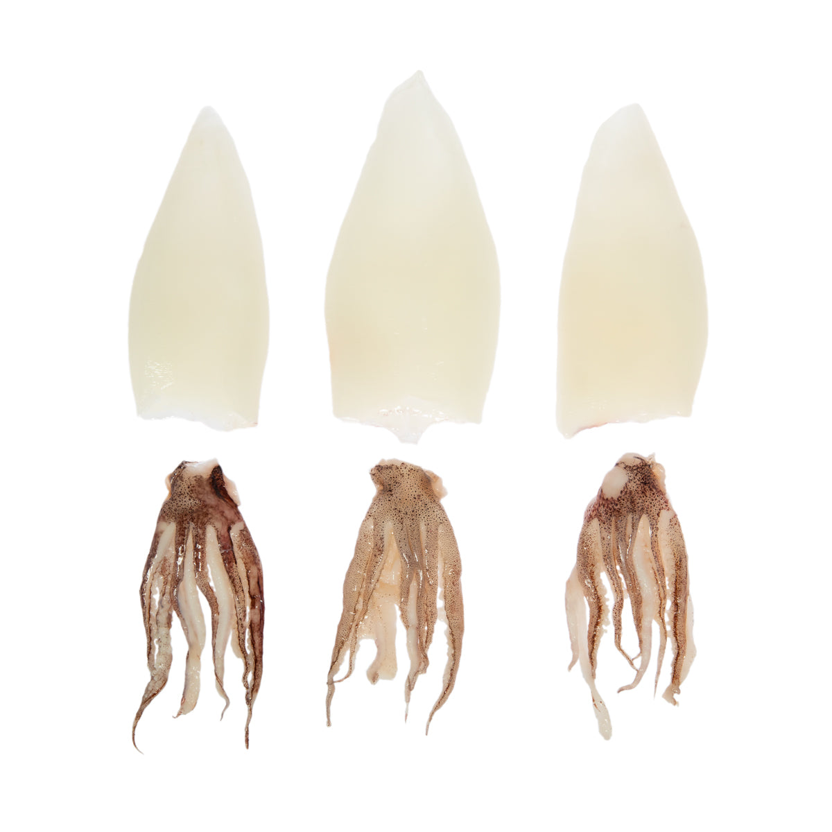 Frozen Cleaned Rhode Island Calamari Tubes and Tentacles