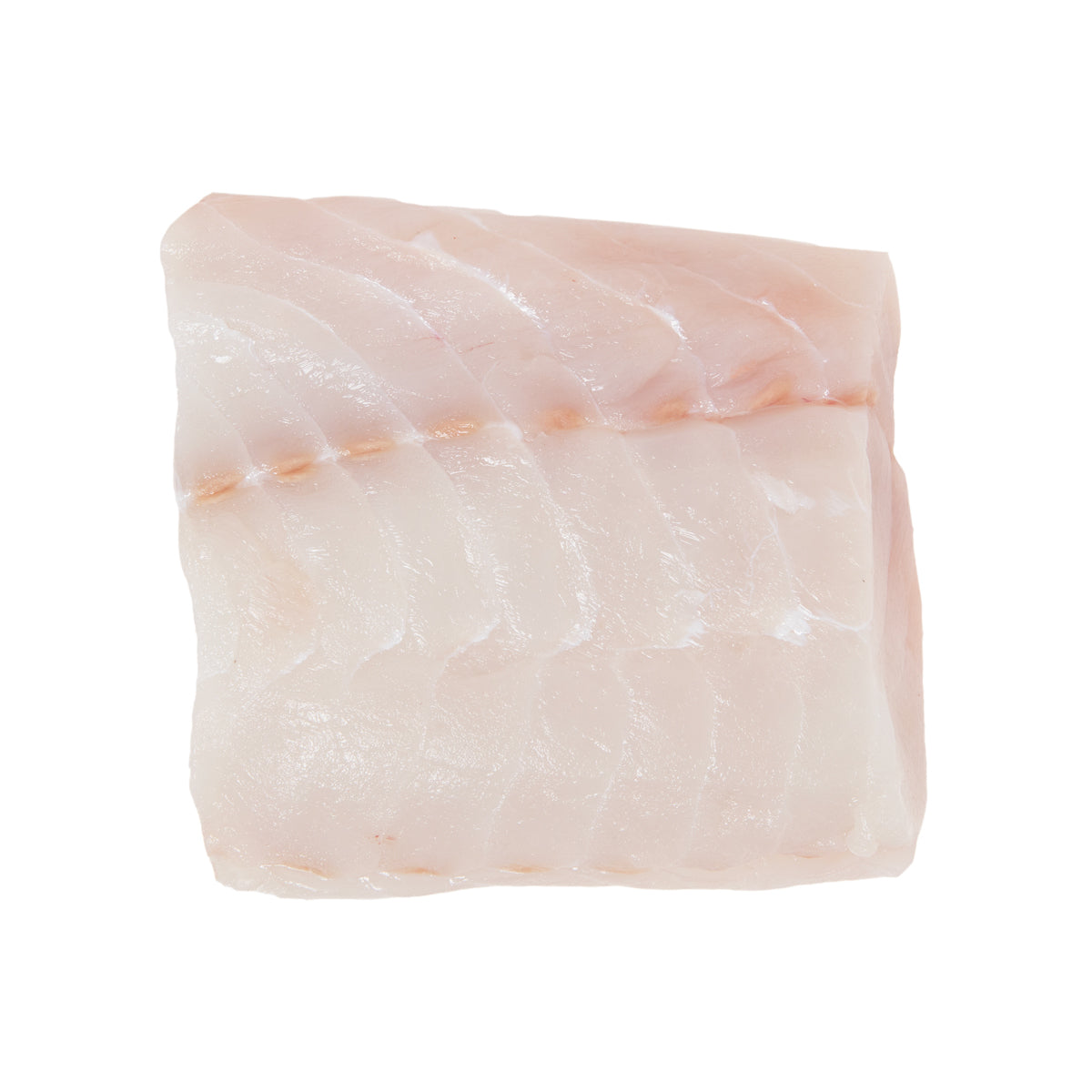 Wild Atlantic Hake Filet