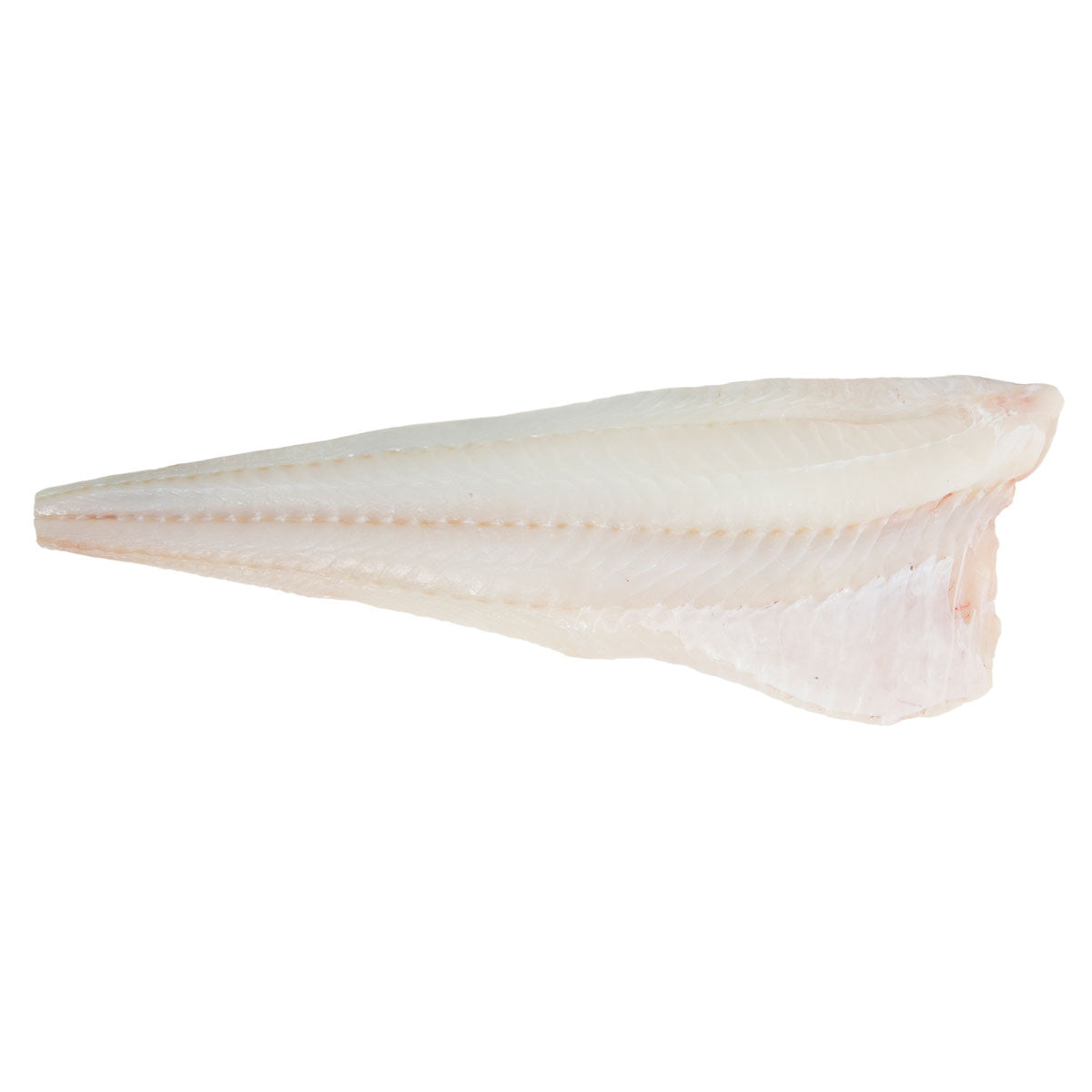 Wild Caught PBO Skinless Icelandic Cod Side