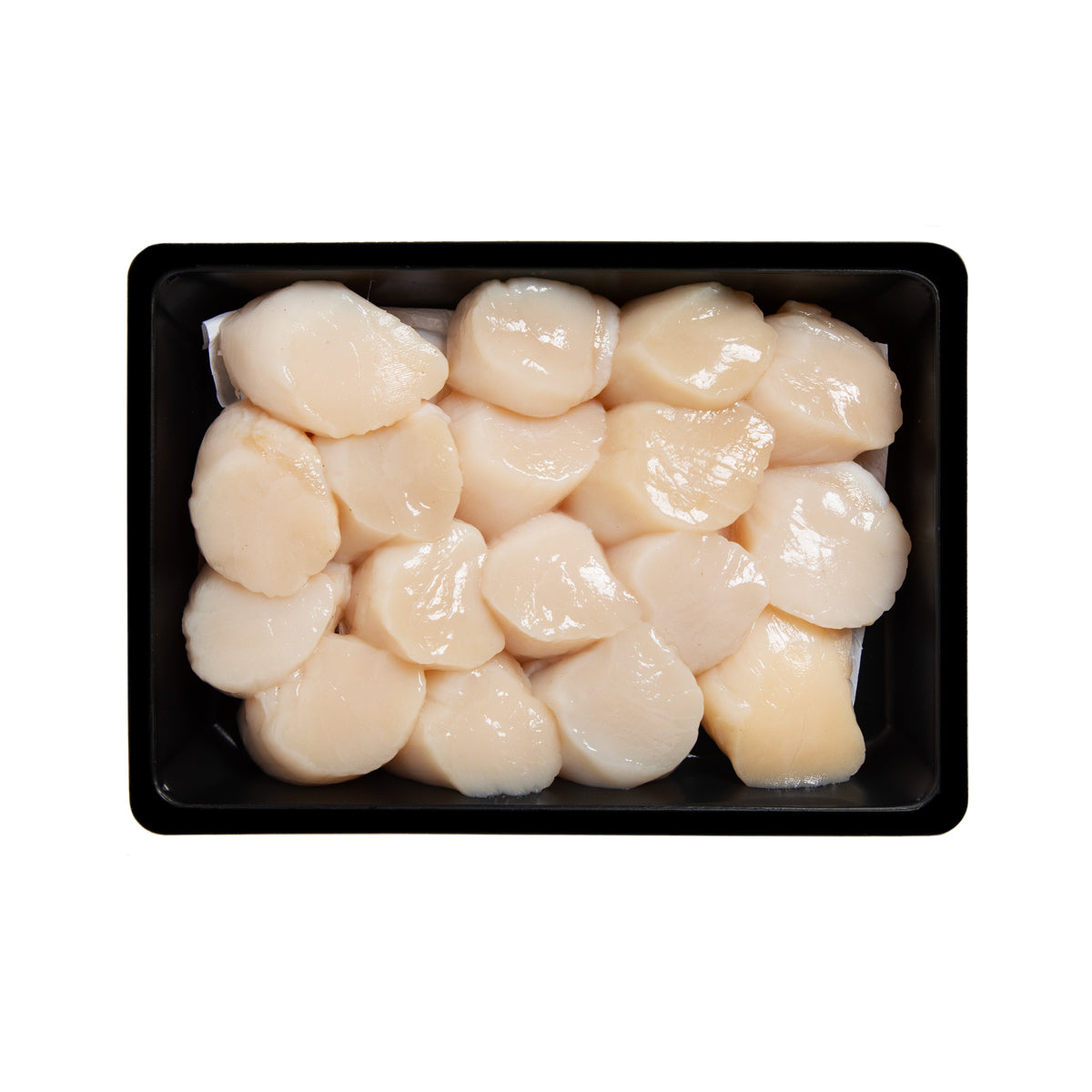 Wild 10/20 Scallops Retail Tray