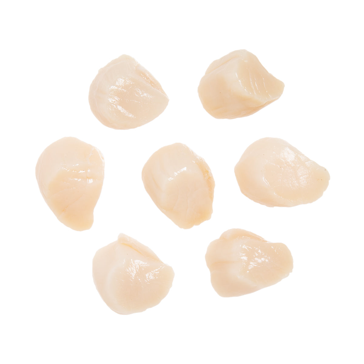 Wild 10/20 Scallops Retail Tray
