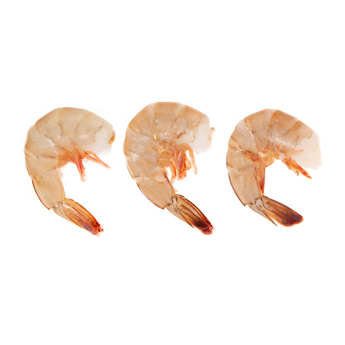Head Off 16-20 Wild Fresh Shrimp