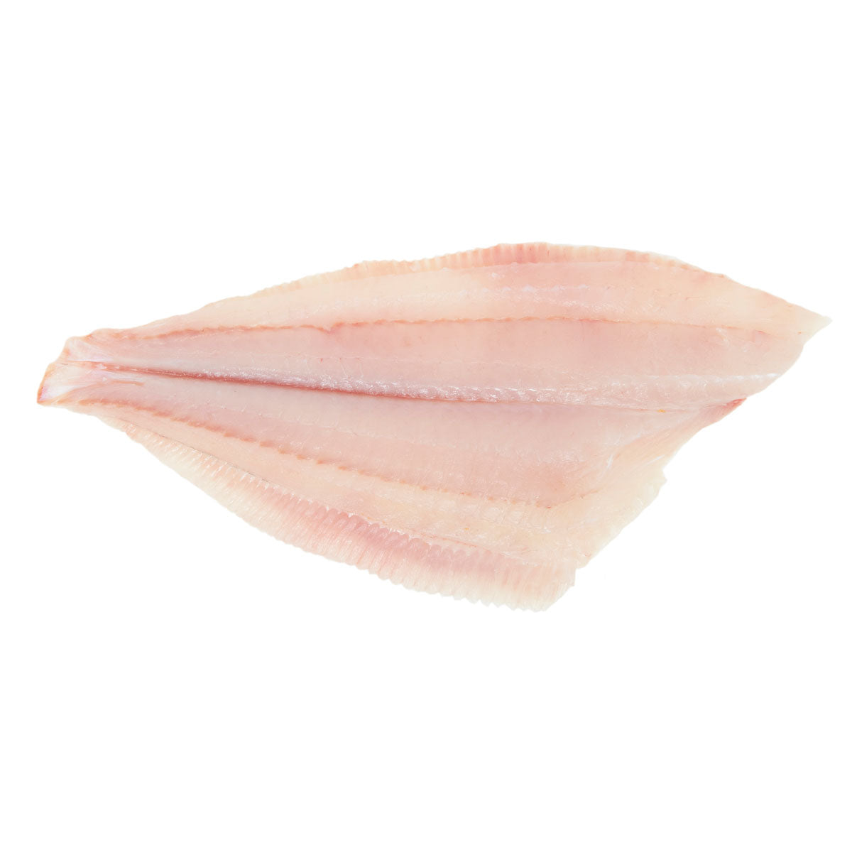 Wild Caught PBO Skin On Fluke Side