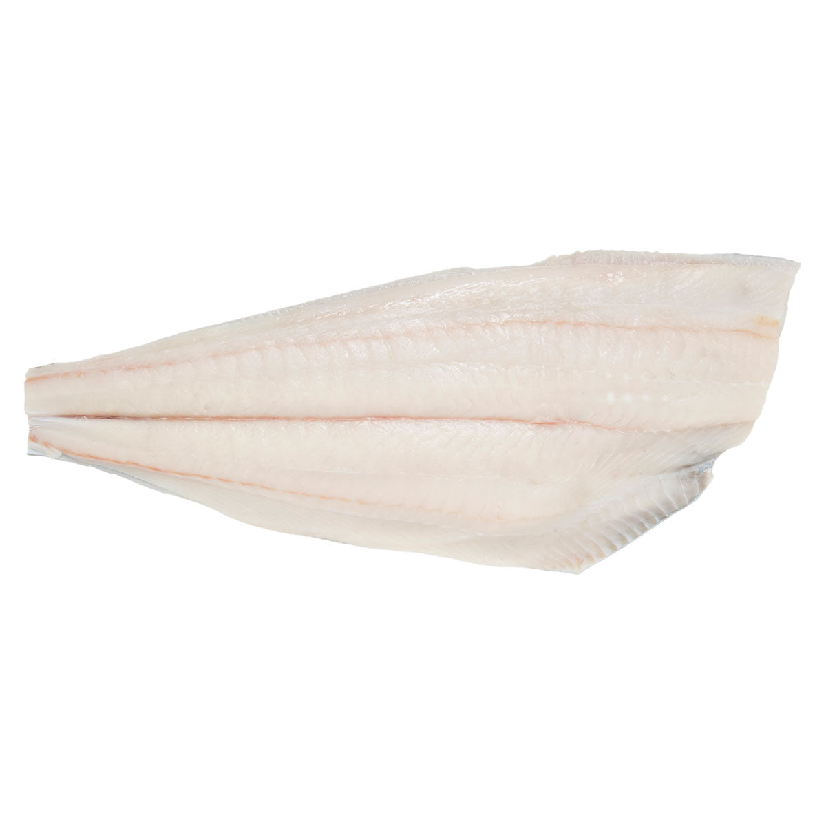 Wild Caught Halibut Side