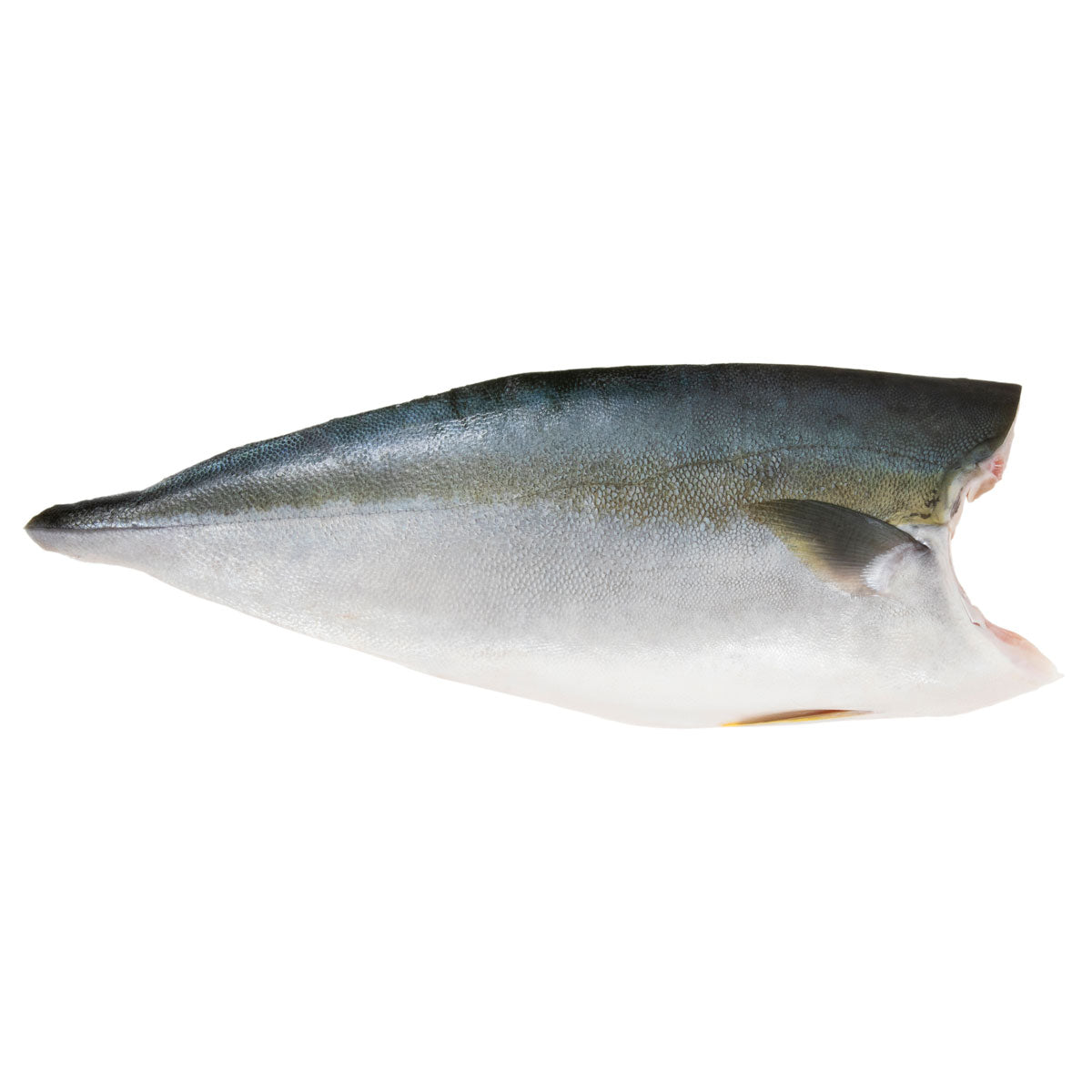 Farm Raised Hiramasa Side