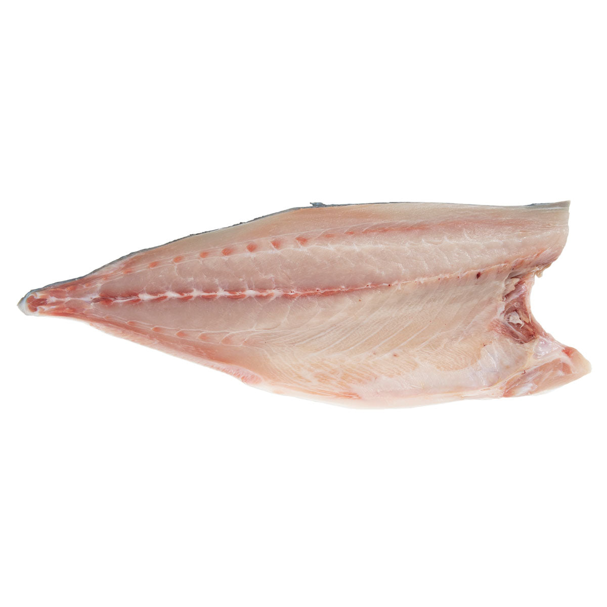 Farm Raised Hiramasa Side