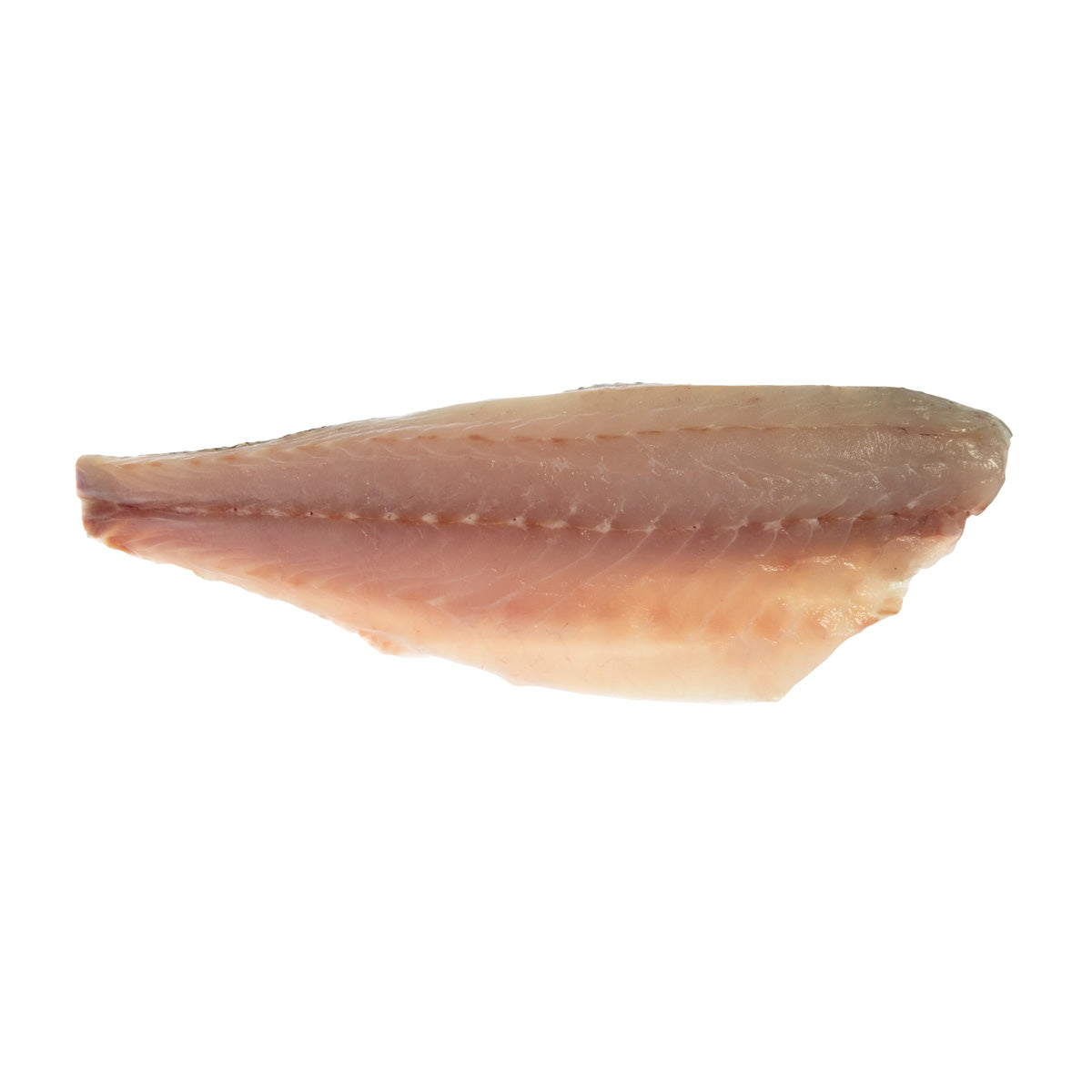 Farm Raised Branzino Portions PBO