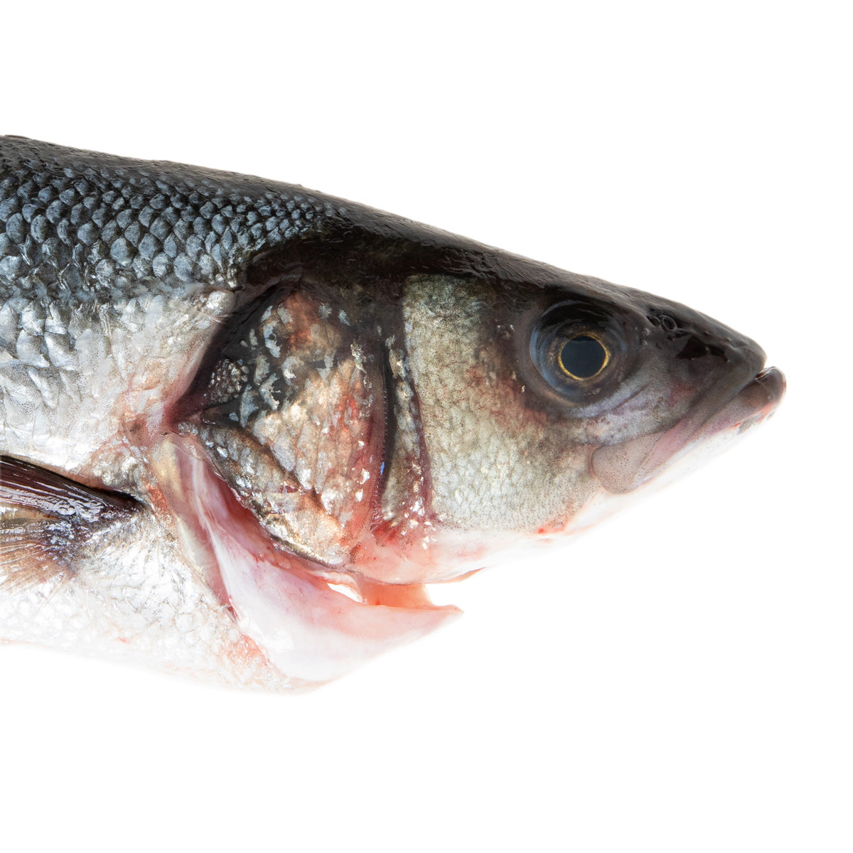 Whole Farm Raised Branzino