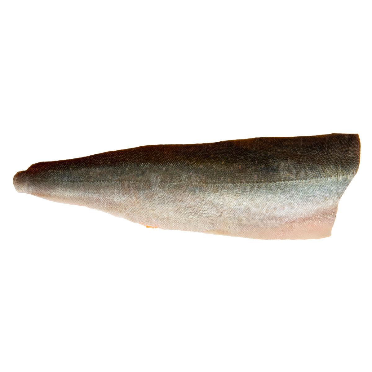 Farm Raised PBO Scottish Salmon Side
