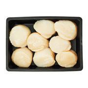 Wild Hokkaido Scallops U10