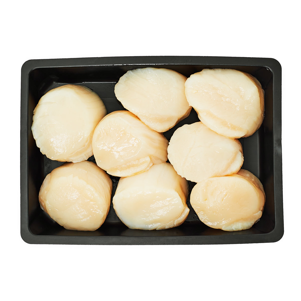 Wild Hokkaido Scallops U10
