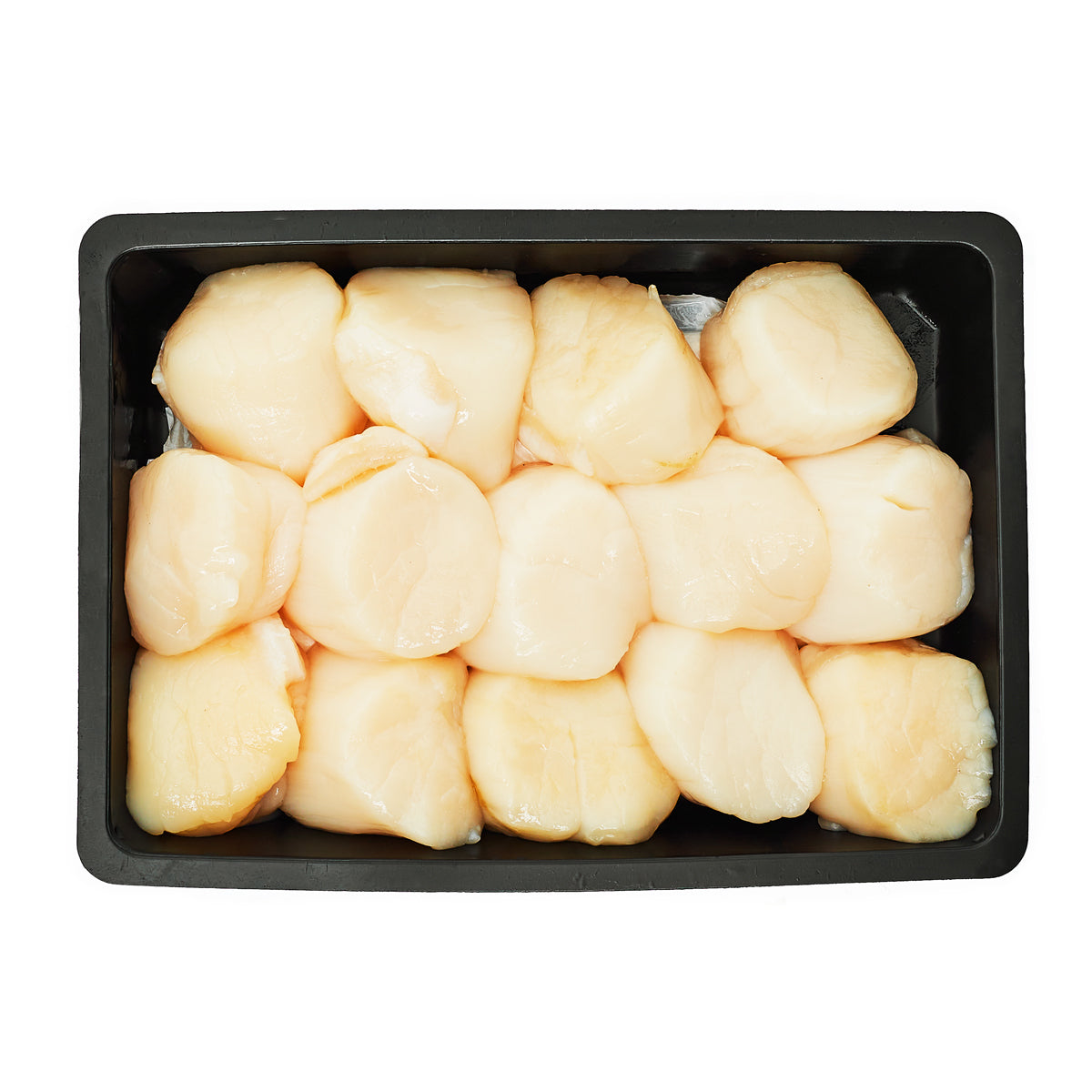 Wild Hokkaido Scallops 10/20
