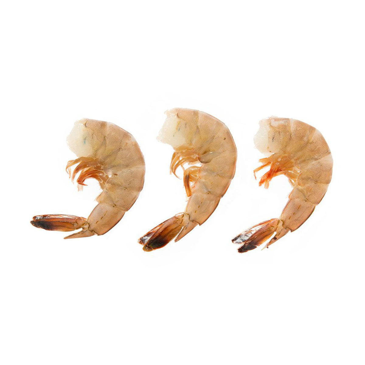 Wild Caught Shell On Atlantic White Shrimp 16 - 20