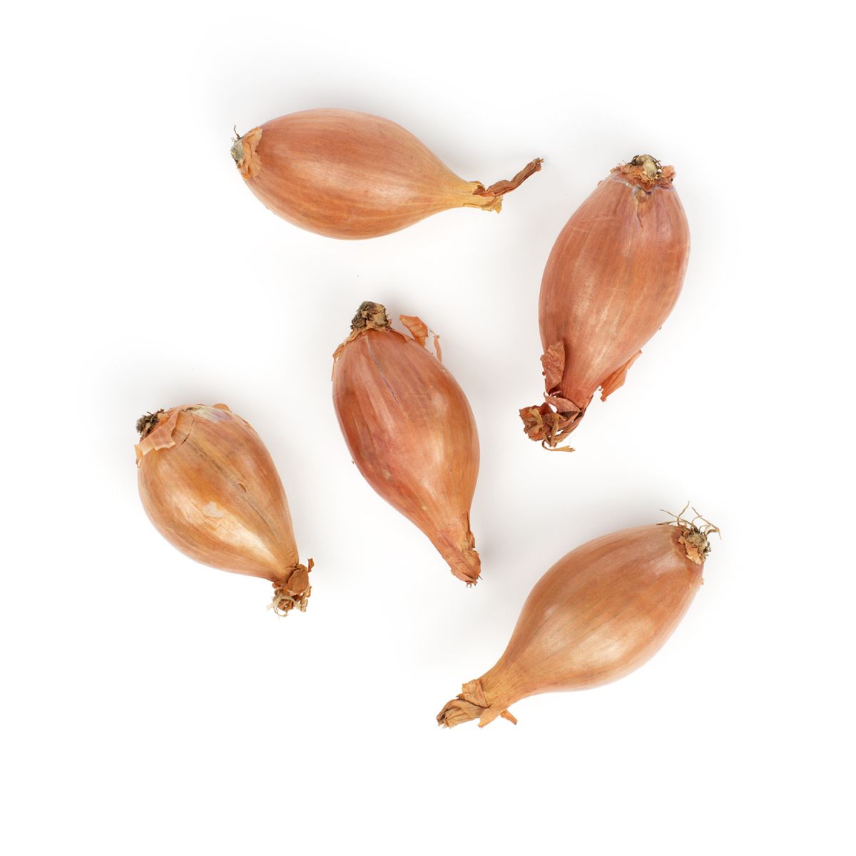 Shallots
